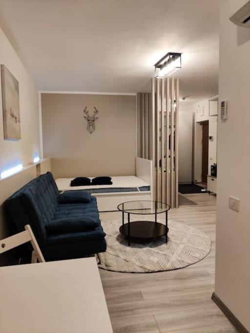 Joy City Stay Vivalia V6A-41 Timişoara Eksteriør bilde